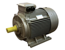 Motor electric trifazat 55kW 1500rpm 250M B3 IE3 SATI