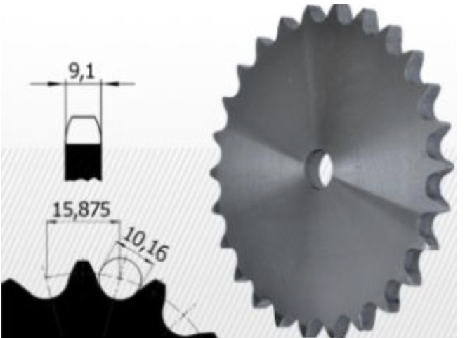 oata disc pentru lant 10B-1 Z=24