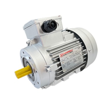 Motor electric trifazat 1,5kW 3000rpm 90S B14 IE2 CHIARAVALLI