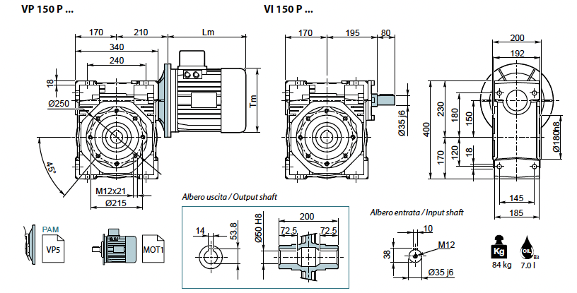 Reductor melcat tip VP 150 i-100 PAM100/112B5