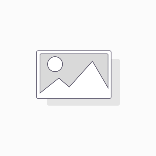Stainless Steel AISI 304 Screen – Disc Diameter 292 mm – MESH 38 (0.22 mm wire × 0.45 mm opening)