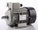 Motor electric monofazat 3kW 1500rpm 100 B3 Electroprecizia