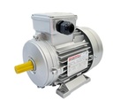 Motor electric trifazat 3kW 3000rpm 100L B3 IE2 CHIARAVALLI