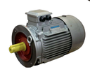 Motor electric trifazat 7,5kw 3000rpm 132 B5 IE1 SATI